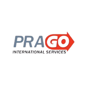 Sin título-1_Mesa de trabajo 1 copia 13